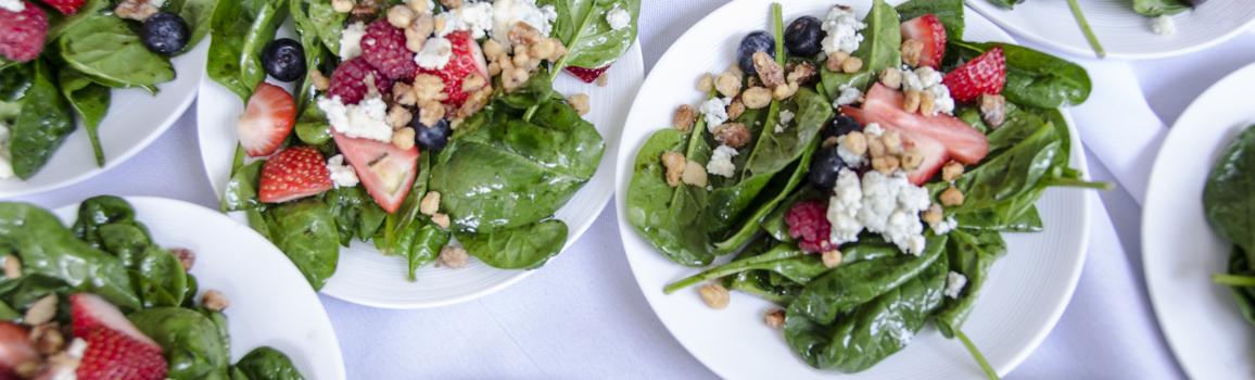 blog_springsalad