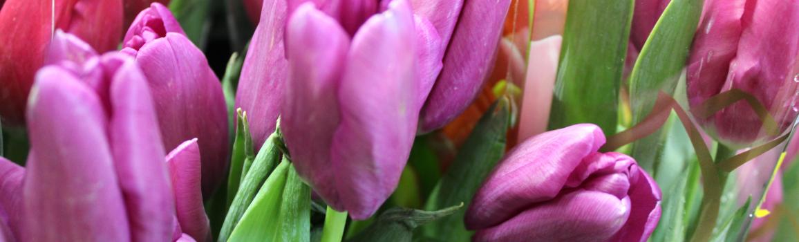 blog_springthemedpaties