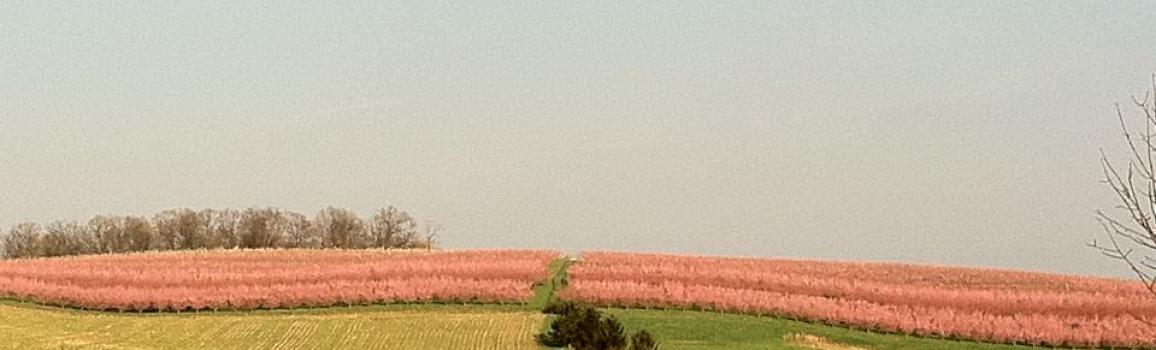 If you ate today, thank a farmer