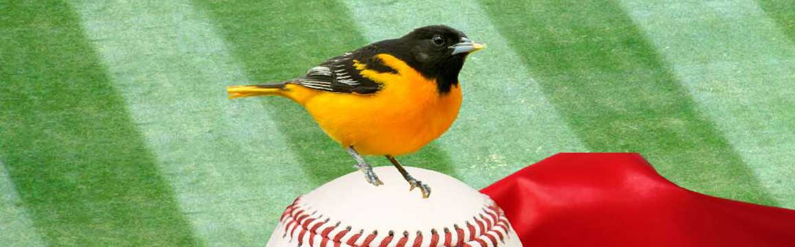 blog_orioles