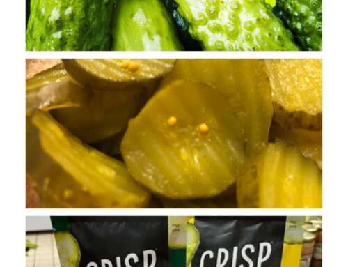 Pickle Perfection: Why Everyone’s Talking About Pickles